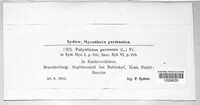 Coltricia perennis image